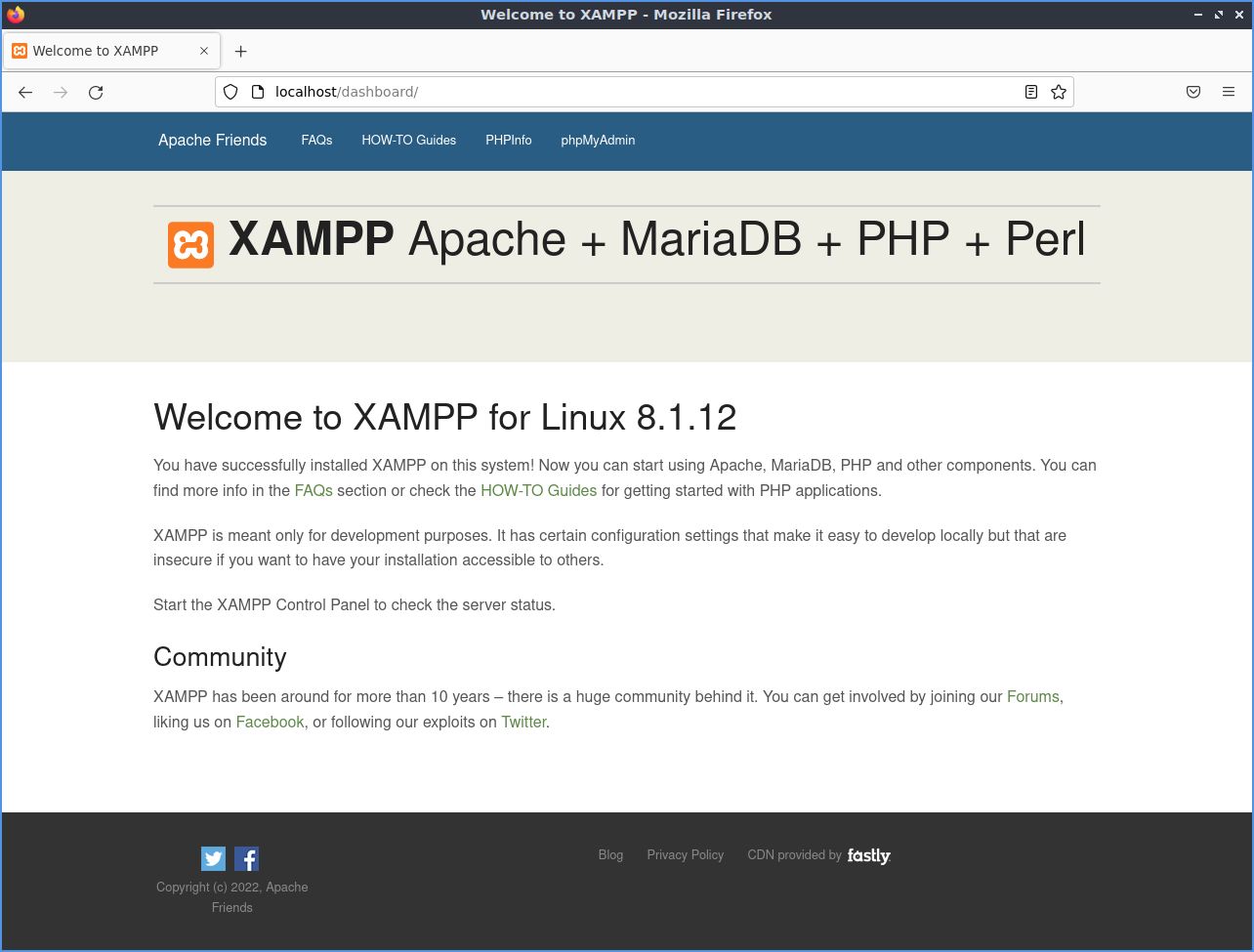 Check the web server properly started on localhost