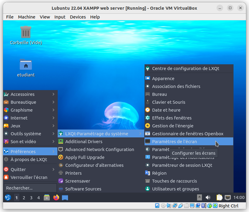 Paramètres d'affichage de Lubuntu